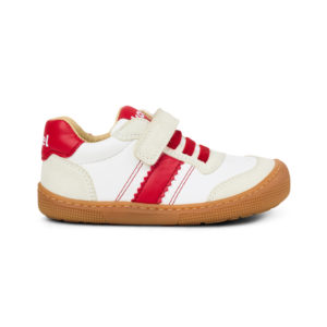 Dylan Leder - Koel4Kids